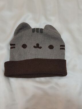 ₍˄·͈༝·͈˄*₎◞ ̑̑Y2K Pusheen Cat Beanie Hat